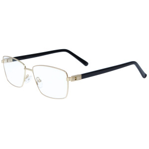 Schicke Fernbrille ANTON aus einer Metall-Kunststoff...