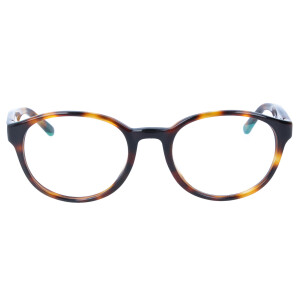 Schicke Kunststoff-Fernbrille BÄRBEL in modernem Panto-Design mit Federscharnier und individueller Stärke