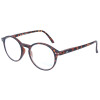 Lesebrille MR65 aus Kunststoff von MONTANA mit Federscharnier in Havanna + 2,00 dpt