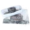 Schönes Hartschalenetui aus Alu in Weiß mit niedlichem Tier-Motiv - Katze inkl. passendem Microfasertuch