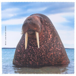 La Kelnet Microfasertuch - POLAR Collection - Seelöwe