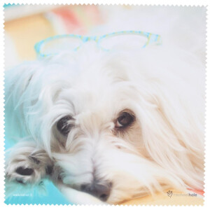 La Kelnet Microfasertuch - Rachel Hale Collection - Hund...