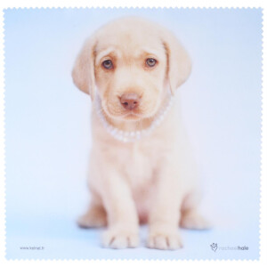 La Kelnet Microfasertuch - Rachel Hale Collection -...