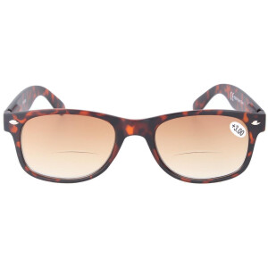 Zweistärkenbrille / Bifokalbrille / Sonnenbrille...