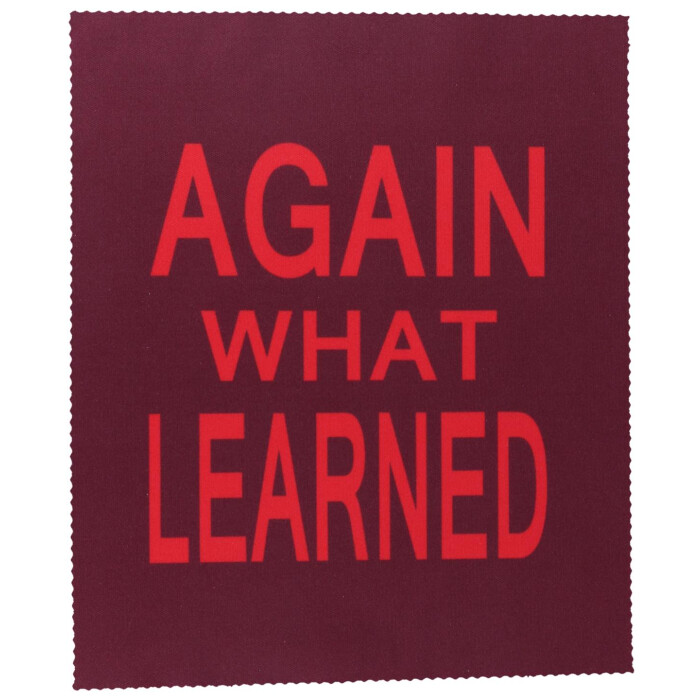 Hochwertiges Mikrofasertuch mit witzigen "Denglisch" Spruch - again what learned