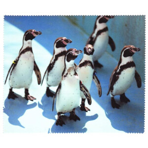 Motiv Microfasertuch mit Tiermotiven Pinguin