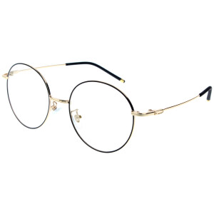 Moderne Panto-Fernbrille RORY aus flexiblem Metall mit individueller Sehstärke