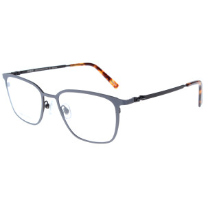 Leichte JOSHI Herren - Brillenfassung in Grau 8072 C4 aus Edelstahl