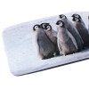 Hartschalen-Etui Cute mit weichem Microfaserbezug und passendem Microfasertuch Pinguine