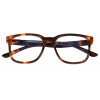 Stylische Fertiglesebrille BLUEBREAKER STYLE aus Kunststoff mit Blaulichtfilter und Federscharnier Havanna + 2,50 dpt