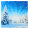 Weiches Microfasertuch / Brillenputztuch mit schönem Motiv "Schneelandschaft"