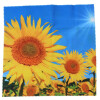 Weiches Microfasertuch / Brillenputztuch mit fröhlichem Motiv "Sonnenblume"