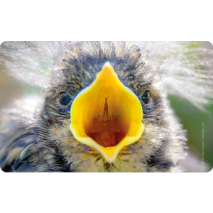 Schneidebrettchen / Fr&uuml;hst&uuml;cksbrettchen von...