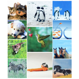 Microfaser Brillenputztuch 20x20 cm mit niedlichen...