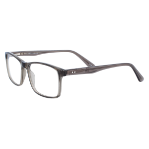 Fernbrille DETLEF mit Federscharnier – Der schlichte Allrounder