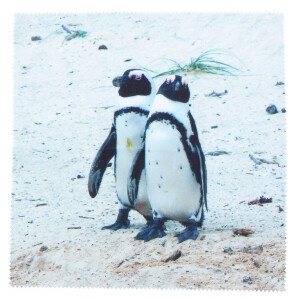 Motiv Microfasertuch "Pinguin"