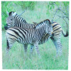 Motiv Microfasertuch "Zebra"