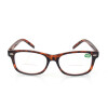 Bifokal-Brille HARALD Havanna Braun +3,00 dpt