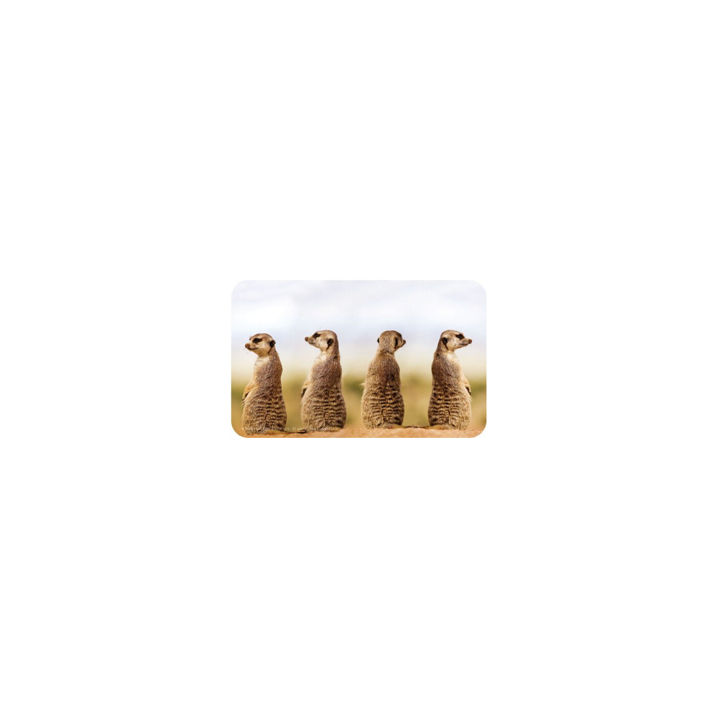 Rannenberg & Friends Frühstücksbrettchen Catzz – Lebensmittelechtes Resopal-Brett Mit Katzen-Motiv, 23x14 Cm