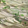 La Kelnet Microfasertuch - Horizons - Reisfelder in China