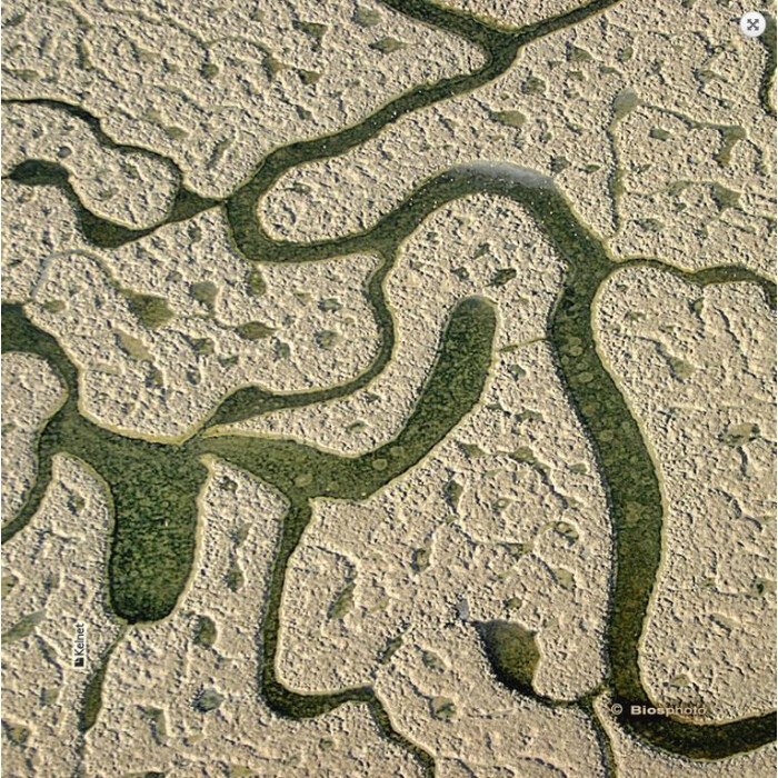 La Kelnet Microfasertuch - Horizons - Wasseradern