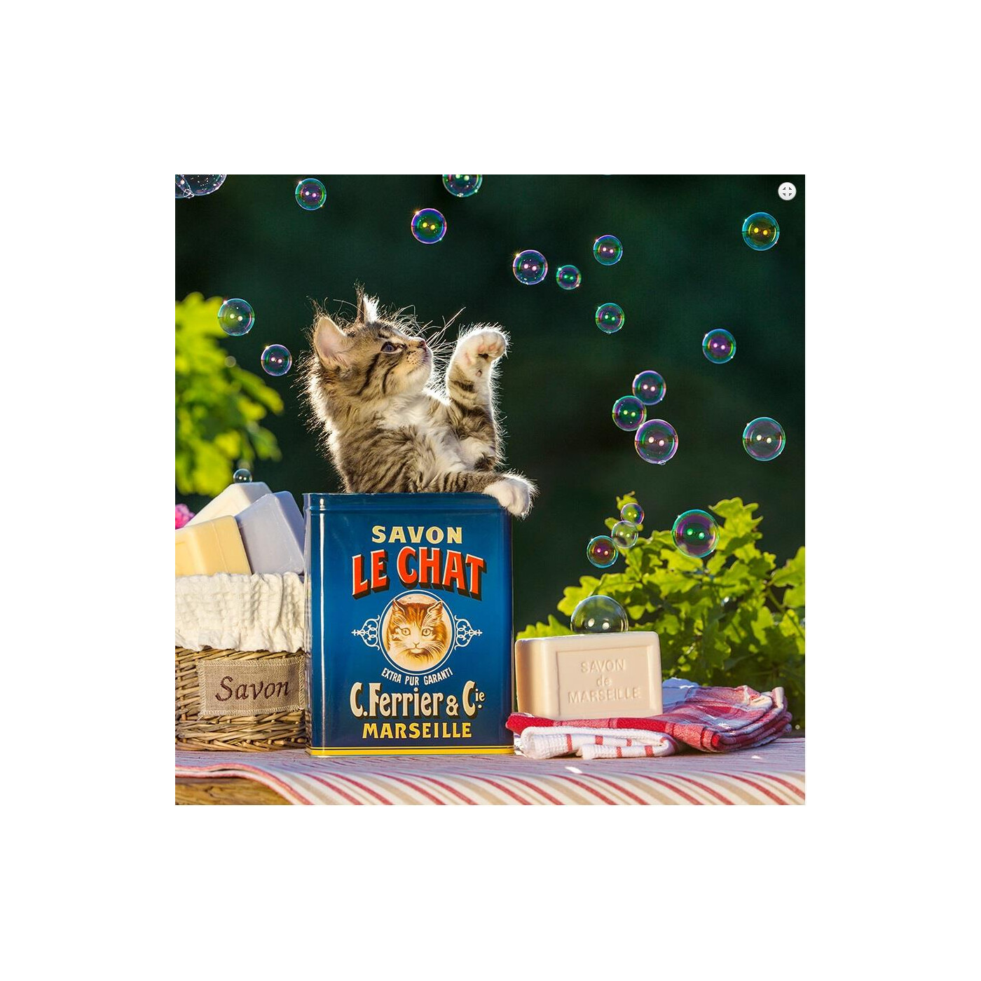  La Kelnet Microfasertuch - KATZEN - Katze mit Seifenblasen, 5,95 Bildidee 