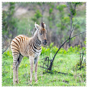 La Kelnet Microfasertuch Animal Babies - Zebra