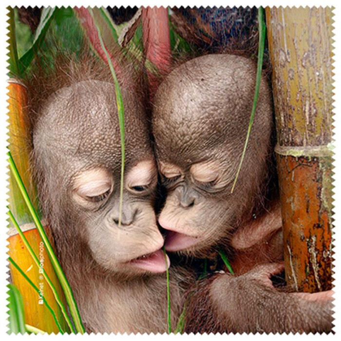 La Kelnet Microfasertuch Animal Babies - Affen
