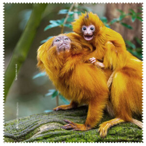 La Kelnet Microfasertuch -Animal II - Goldene...