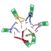 Elastisches Spiralband für Kinder mit Silikon-Gummi-Schlaufe in versch. Farben von Julbo