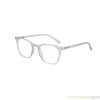 Fertiglesebrille CANBERRA  mit Federscharnier und Einstecketui grau +2,00 dpt