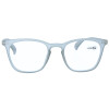 Fertiglesebrille CANBERRA  mit Federscharnier und Einstecketui grau +2,00 dpt