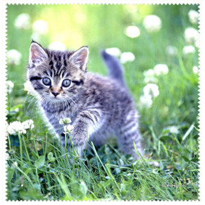 La Kelnet Microfasertuch - Animal Babies - Babykatze