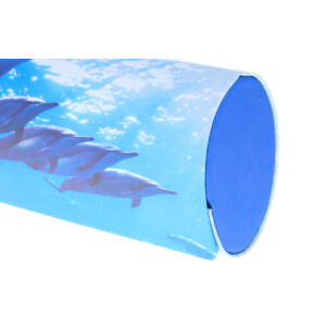 Schickes Hartschalen-Etui BLUE INSPIRATION mit Magnetverschluss und Delfinen