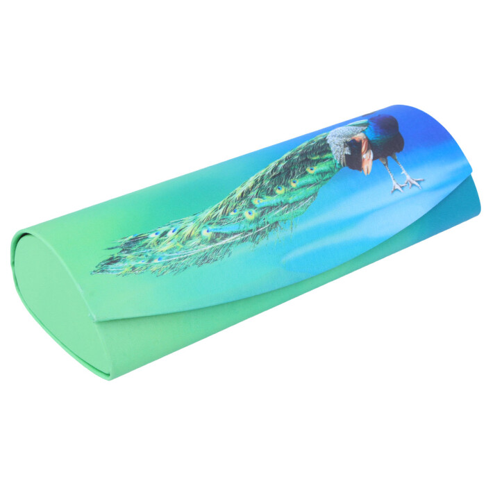 Schickes Hartschalen-Etui PFAU mit Magnetverschluss und edlem Farbverlauf