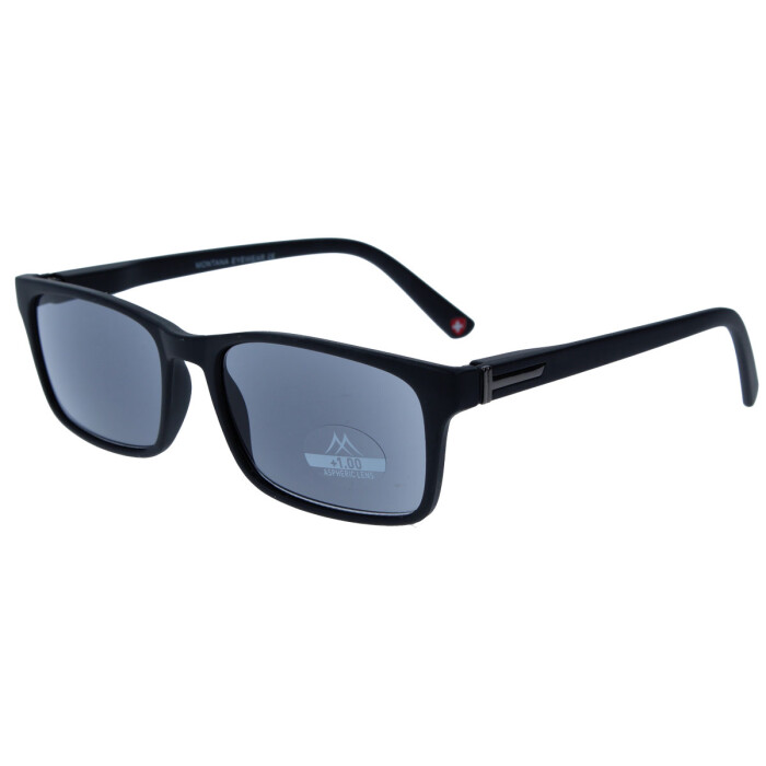 Schicke Kunststofflesebrille RILEY / MR73 mit Federscharnier und Sonnenschutz in Schwarz + 2,00 dpt