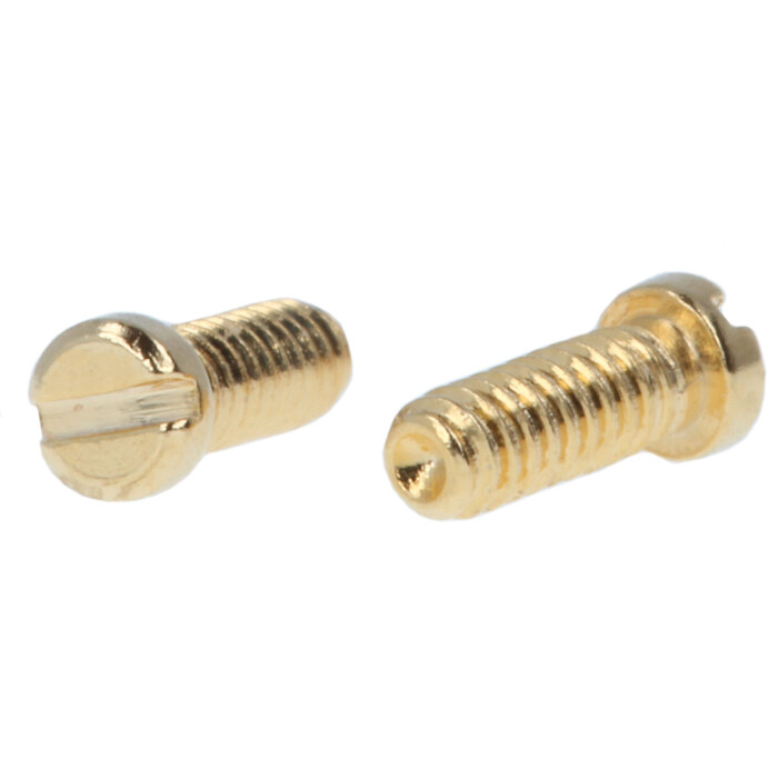 Scharnierschrauben, Schließblockschrauben für Brillen in Vergoldet 1,4 mm x 4,4 mm - Schlitz