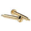 Glasbrillenschrauben / Schrauben für Brillen in Gold 1,4 mm x 12 mm