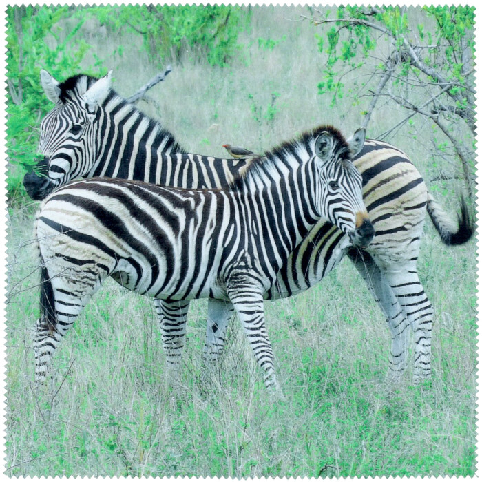 Zebras