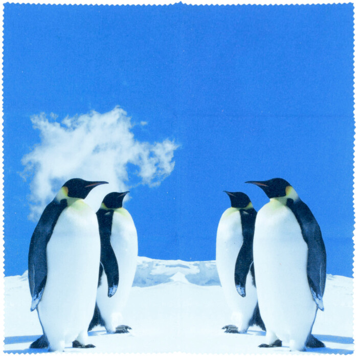 Kaiserpinguine