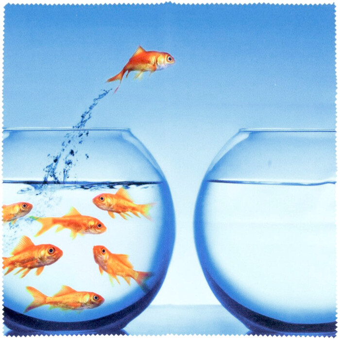 Goldfische